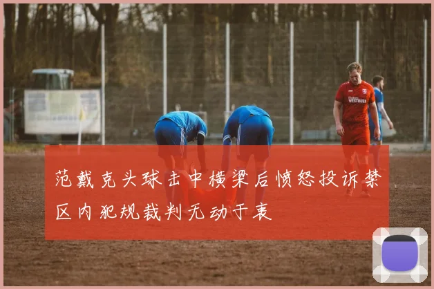 范戴克头球击中横梁后愤怒投诉禁区内犯规裁判无动于衷