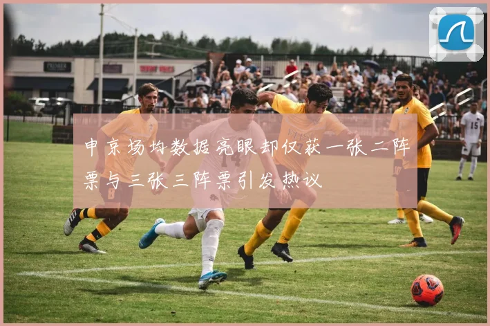 申京场均数据亮眼却仅获一张二阵票与三张三阵票引发热议